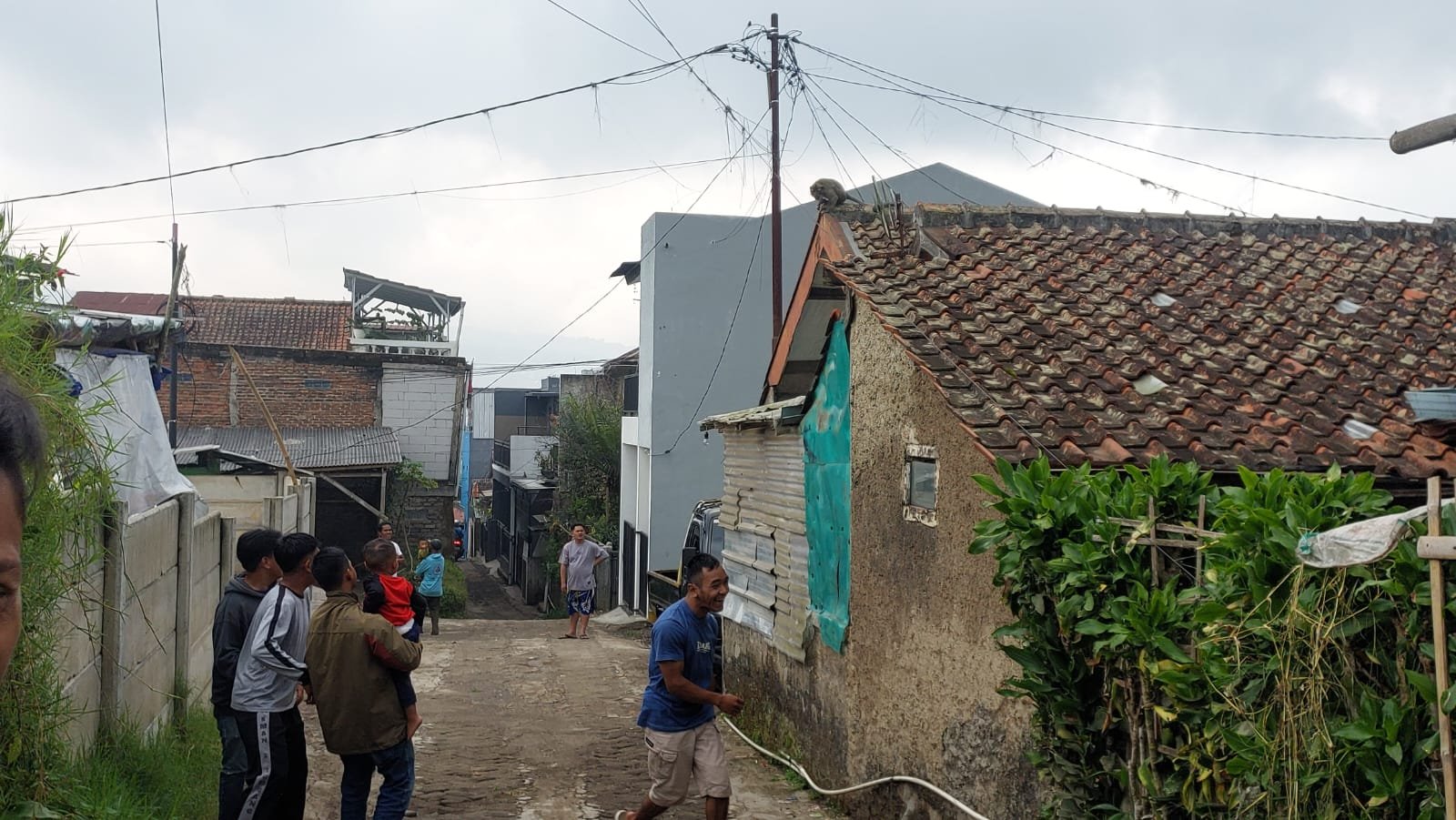 Monyet Langensari Lembang
