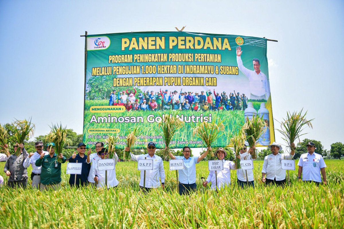 Panen Raya Indramayu