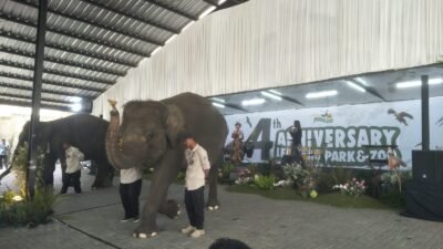 Wisatawan ke Lembang Diprediksi Meningkat, Tetap Diimbau Waspada Cuaca Ekstrem
