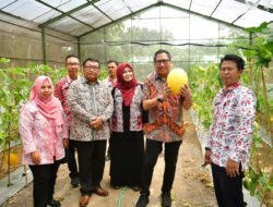 Pemkab Indramayu Siapkan Lahan 10 Ribu Hektare untuk Mengembangkan Pertanian Modern