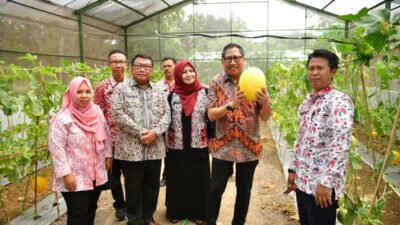 pertanian modern indramayu