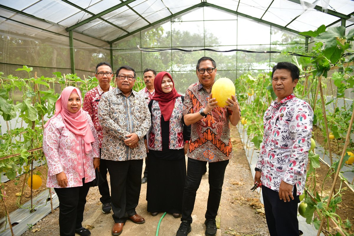 pertanian modern indramayu