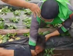Berpura-pura Jadi Penumpang Ojol, Pelaku Begal Ditangkap Usai Tusuk Pengemudi di Sariwangi KBB