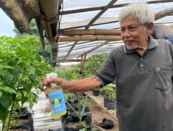 Warga Padalarang KBB Berhasil Ubah Belerang Jadi Pupuk Cair untuk Bercocok Tanam