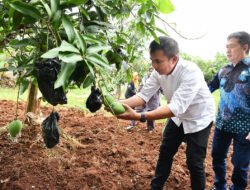 Bey Machmudin Terkesan Desa Wisata Edukasi Cibiru Wetan