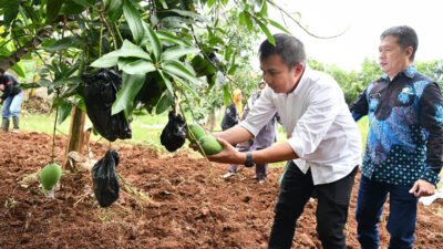 Desa Wisata Cibiru Wetan