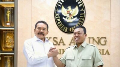 mafia tanah