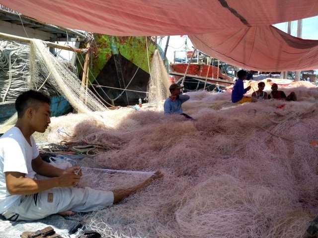 produksi ikan indramayu