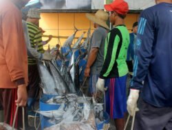 Produksi Ikan Indramayu Jadi yang Terbesar di Jawa Barat