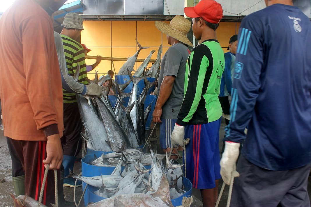 produksi ikan indramayu