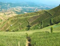 Disparbud Jabar Latih Biro Travel Susun Katalog Wisata untuk Ekspatriat