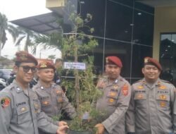 Polres Cimahi Sita Pohon Ganja Setinggi 1 Meter yang Ditanam di Pot dari Seorang Pengedar