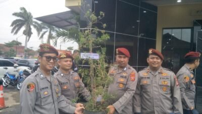 Polres Cimahi Sita Pohon Ganja Setinggi 1 Meter yang Ditanam di Pot dari Seorang Pengedar