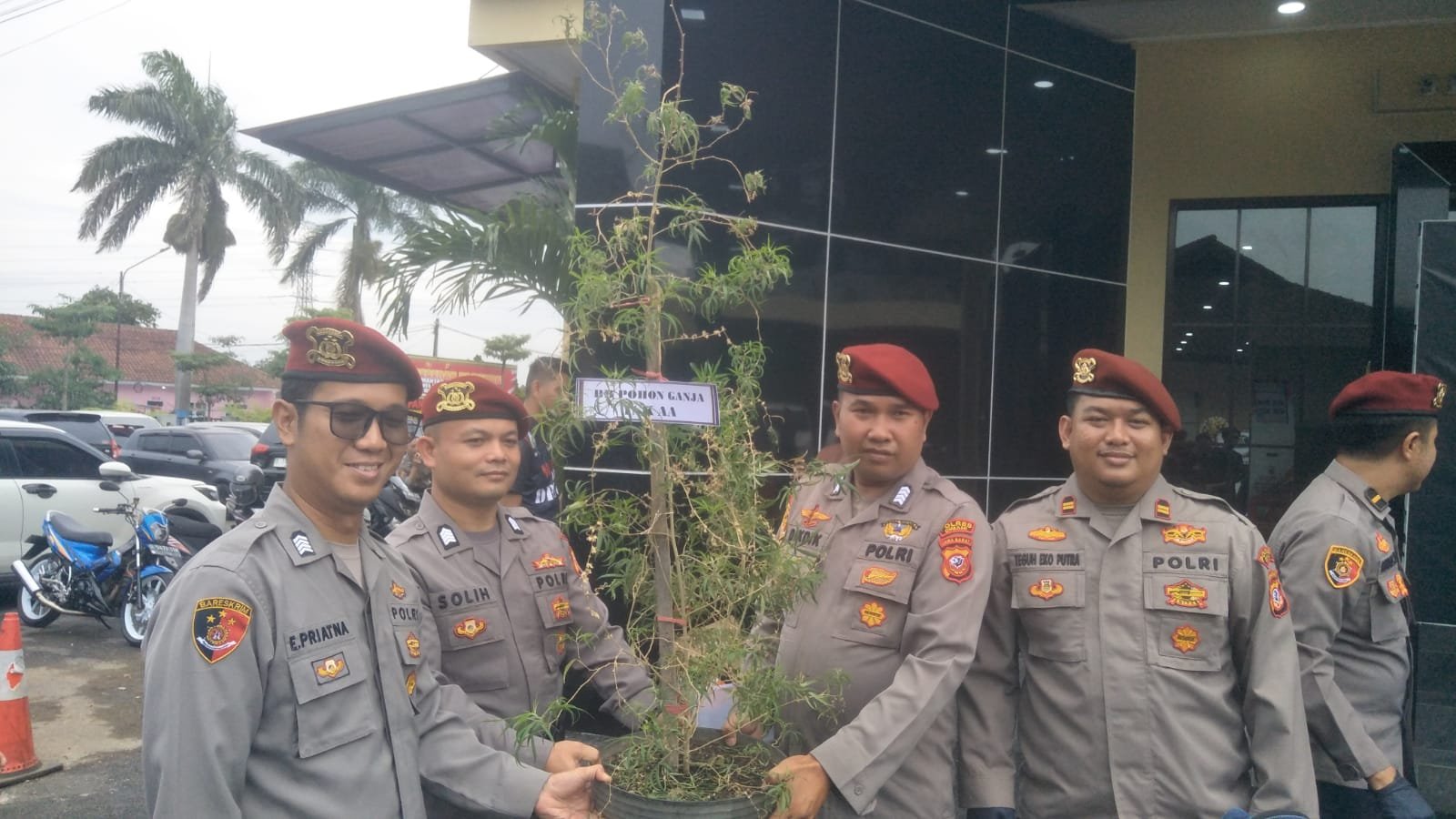 Polres Cimahi Ganja