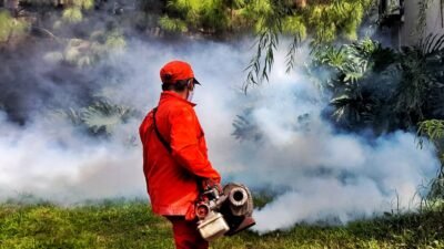 Antisipasi Masalah Kesehatan Usai Libur dan Cuaca Ekstrem, Dinkes Ingatkan Wabah DBD