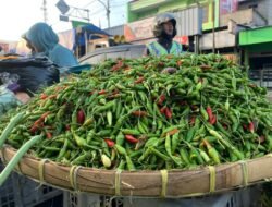 Harga Kepokmas di Cimahi Stabil, Komoditas Cabai Alami Penurunan dari Supplier