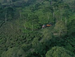 FLPH: Pembangunan Eiger Camp Bukan di Kaki Gunung Tangkubanparahu, Perizinan Lengkap