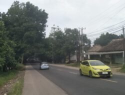 Jalur Mudik Cipatat-Padalarang KBB Penuh Jalan Bergelombang dan Rawan Pohon Tumbang, Pengendara Wajib Waspada