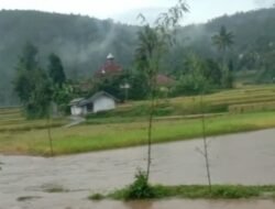 Banjir Bandang Rusak 4 Hektare Lahan Sawah Siap Panen di Rongga KBB