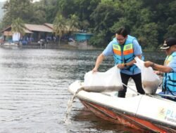 Dukung Ketahanan Pangan Berbasis Sektor Perikanan, Bupati Jeje Ritchie Ismail Tebar 230 Ribu Bibit Ikan di Cirata KBB