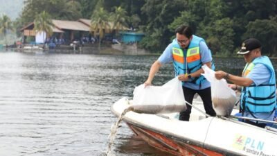 Dukung Ketahanan Pangan Berbasis Sektor Perikanan, Bupati Jeje Ritchie Ismail Tebar 230 Ribu Bibit Ikan di Cirata KBB