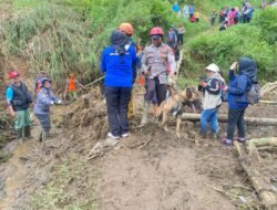Petani di KBB Lembang yang Tersapu Longsor Belum Ditemukan, Tim SAR Kerahkan Anjing Pelacak