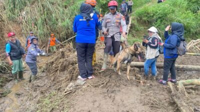 Petani Lembang Longsor