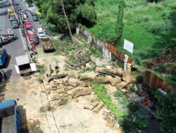 Pemkot Bandung Bergerak Cepat Atasi Pohon Tumbang di Dago, Kolaborasi Lintas OPD Diterjunkan