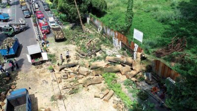 Pemkot Bandung Bergerak Cepat Atasi Pohon Tumbang di Dago, Kolaborasi Lintas OPD Diterjunkan