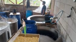 Harga Tahu KBB