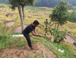 Program Jumat Hijau Digagas Warga Gununghalu KBB untuk Kesejahteraan dan Mitigasi Bencana