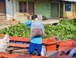 Peternak Sebut Limbah dan Air Lindi Sampah Turunkan Kualitas Ikan di Waduk Cirata KBB