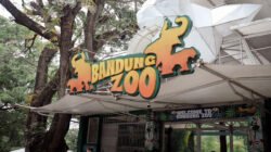Bandung Zoo Kebun Binatang