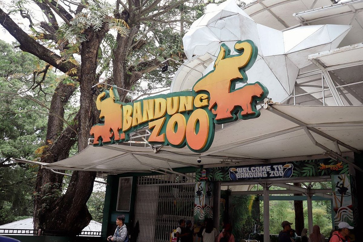Bandung Zoo Kebun Binatang