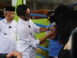 Jelang Iduladha 1447 H, 2.829 Hewan Kurban di Bandung Barat Lolos Uji Kesehatan
